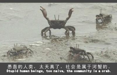 70b2ff104ccf8cc76438dbc4.jpg