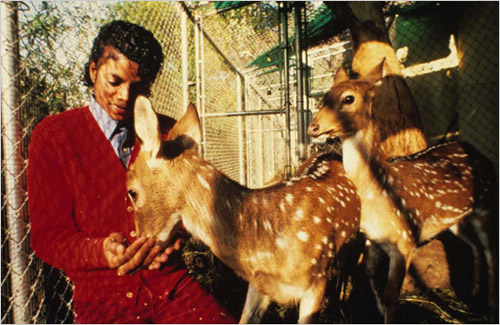 1985.02.14-michaelJackson01.jpg