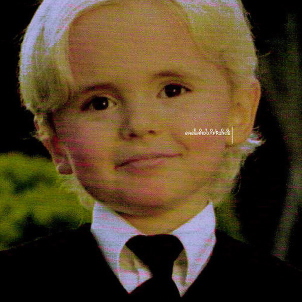 036.JPG