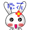 未命名1.gif