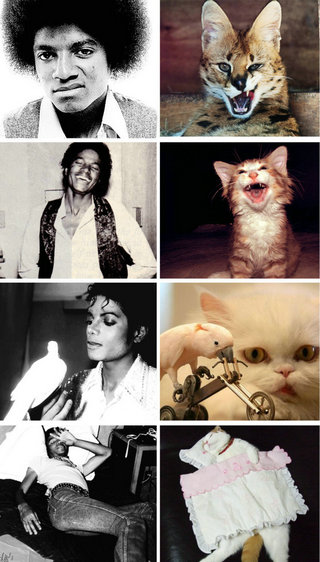 tumblr_m1b3q6smJ21qz8fjho1_1280111.jpg