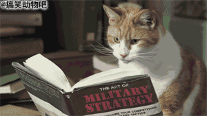 153903zf0gwlpjccapgfjl.gif