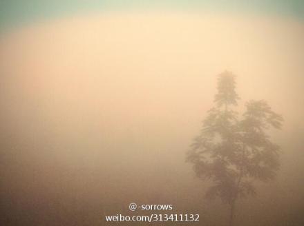 6a7f2450jw1dw360anryoj.jpg