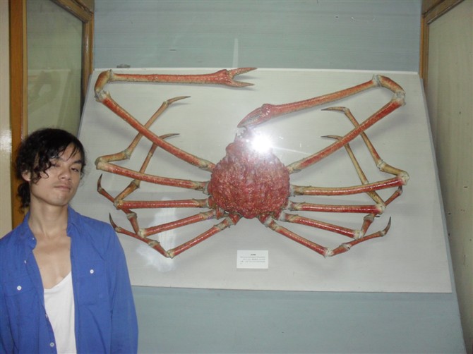 上海21.jpg