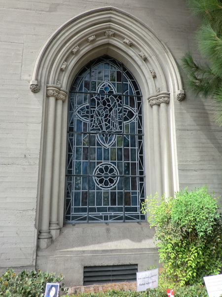 CIMG0041.JPG