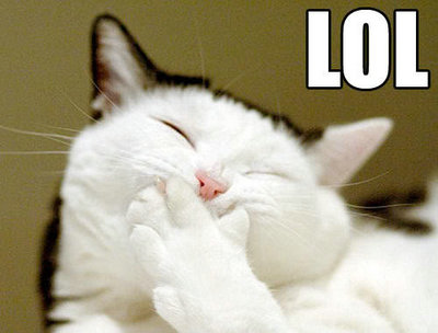 CatLaughing.jpg