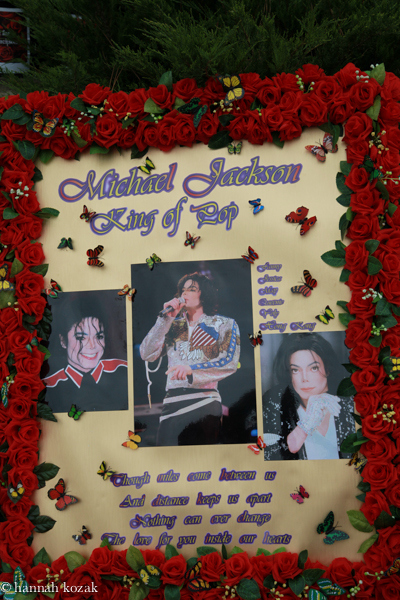 hkozak_mj8_8072.jpg