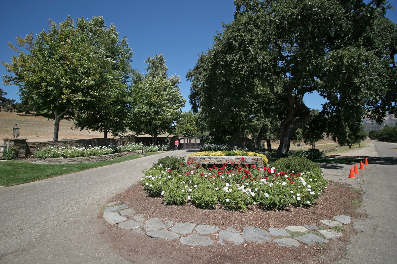 IMG_9072.JPG