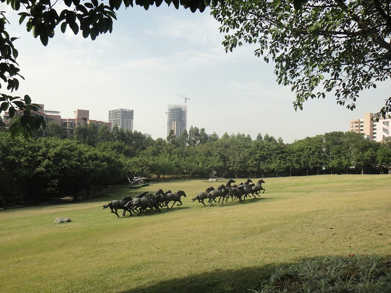 DSC01573缩图.JPG