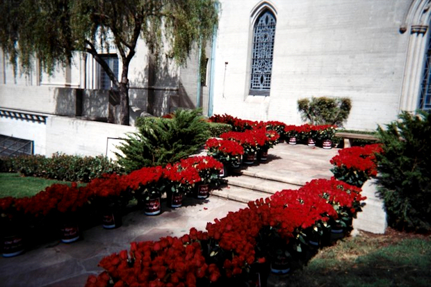 Roses-for-MJ.jpg