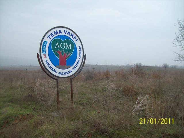 182780_202443653105947_3841707_n.jpg
