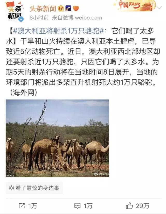 微信图片_20200114154708.jpg