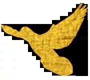 微信图片_20201028155554.jpg