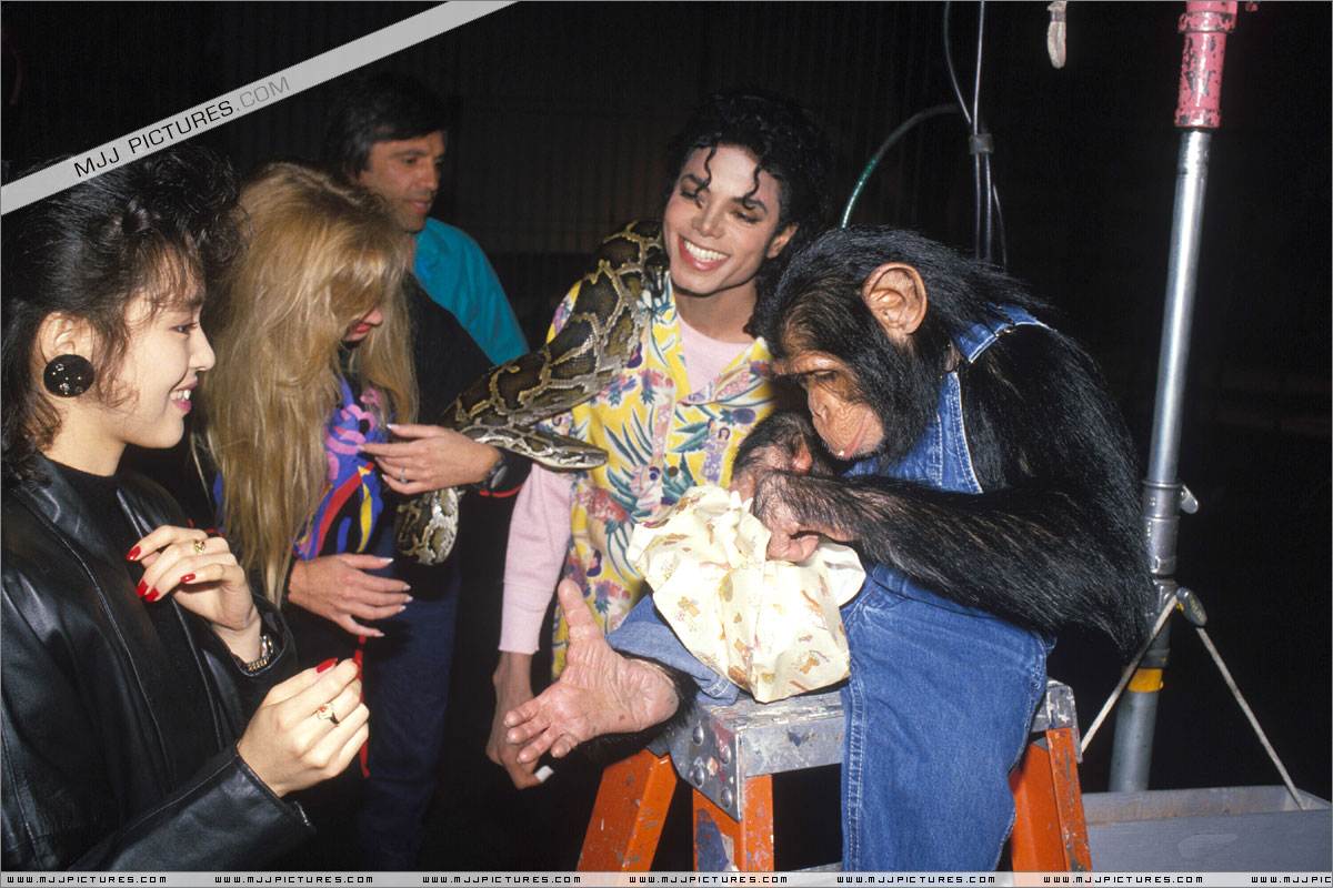 迈克心里说：你们谁有我会玩？