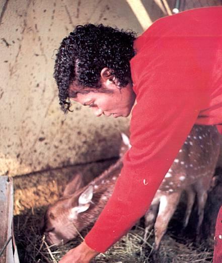 reter-michael-jackson-8832591-441-522.jpg