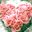 未命名12.gif