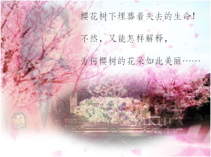 MJ-樱花.JPG