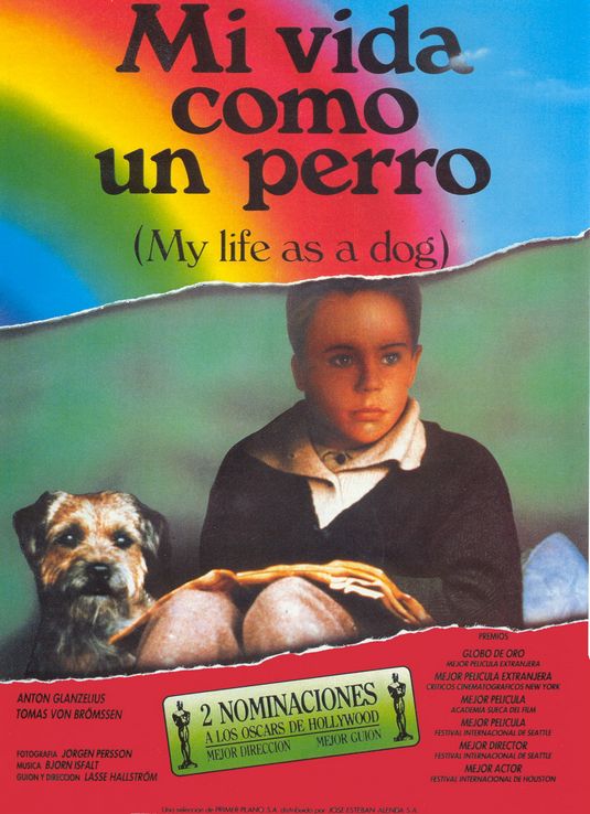 my_life_as_a_dog.jpg