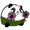 未命名2.gif