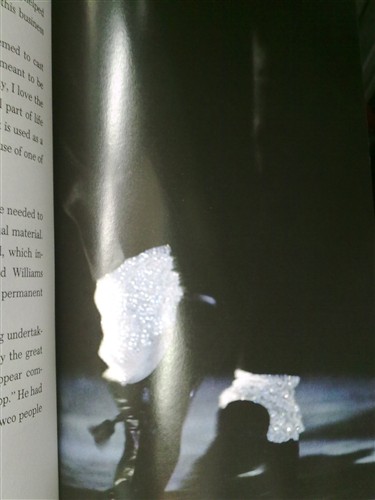 复件 20100315645_副本.jpg