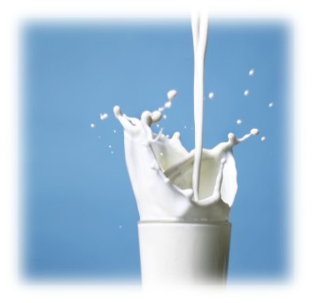 milk.jpg