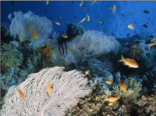 HEAL THE WORLD7jpg.jpg