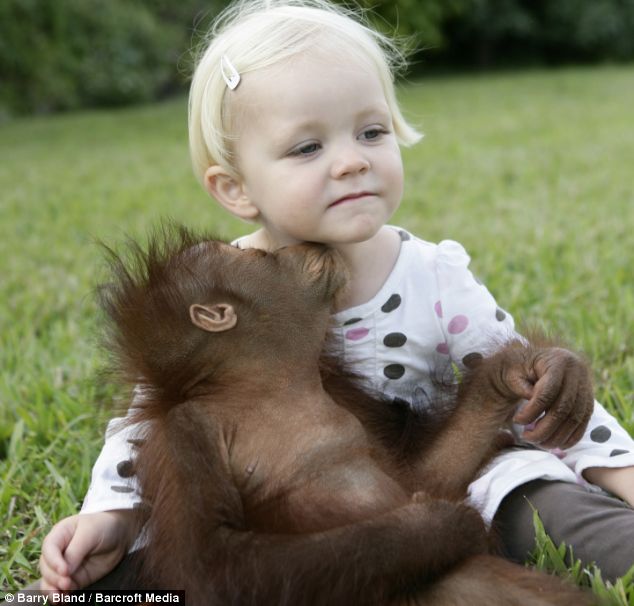 orangutan_girl2.jpg