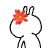 未命名.gif