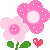 未命名.gif