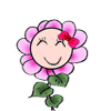 未命名.gif