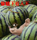 1.gif