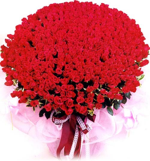 玫瑰花大.jpg