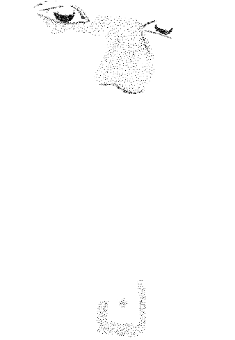 tribute portrait.png