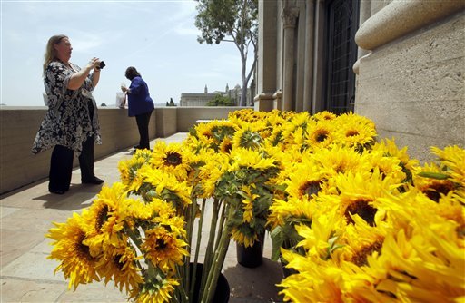flmjsunflowers4.jpg