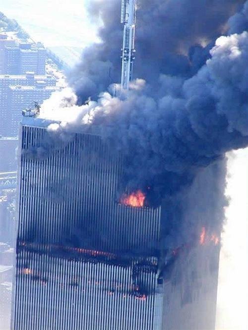 1334535.jpg