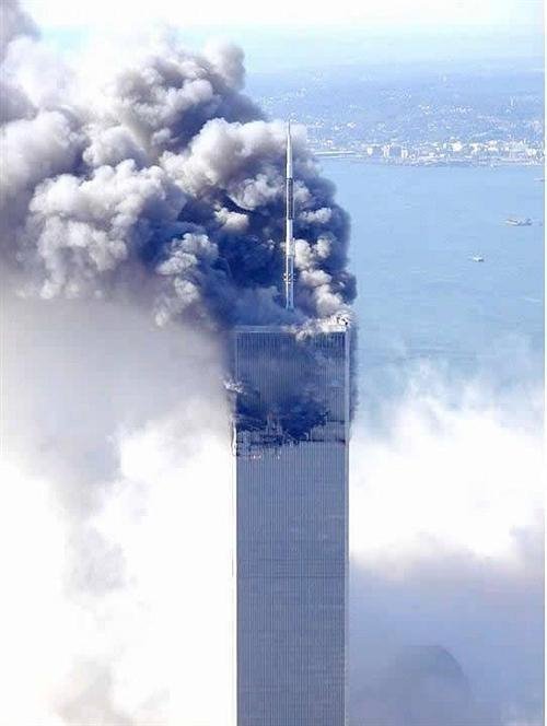 1334532.jpg