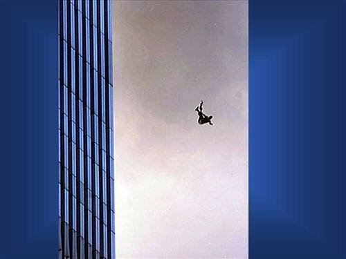 1334537.jpg