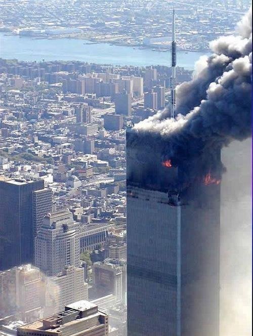 1334533.jpg