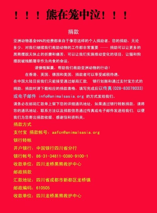 四川龙桥黑熊救护中心