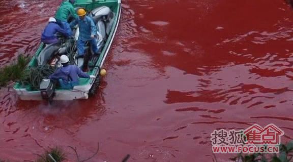 Slaughtering dolphins.