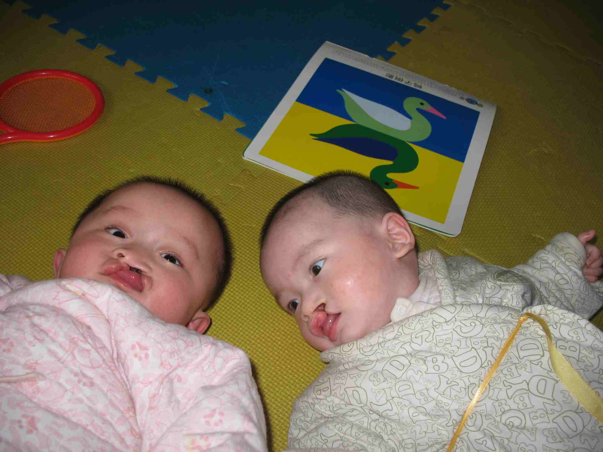 IMG_6119.jpg