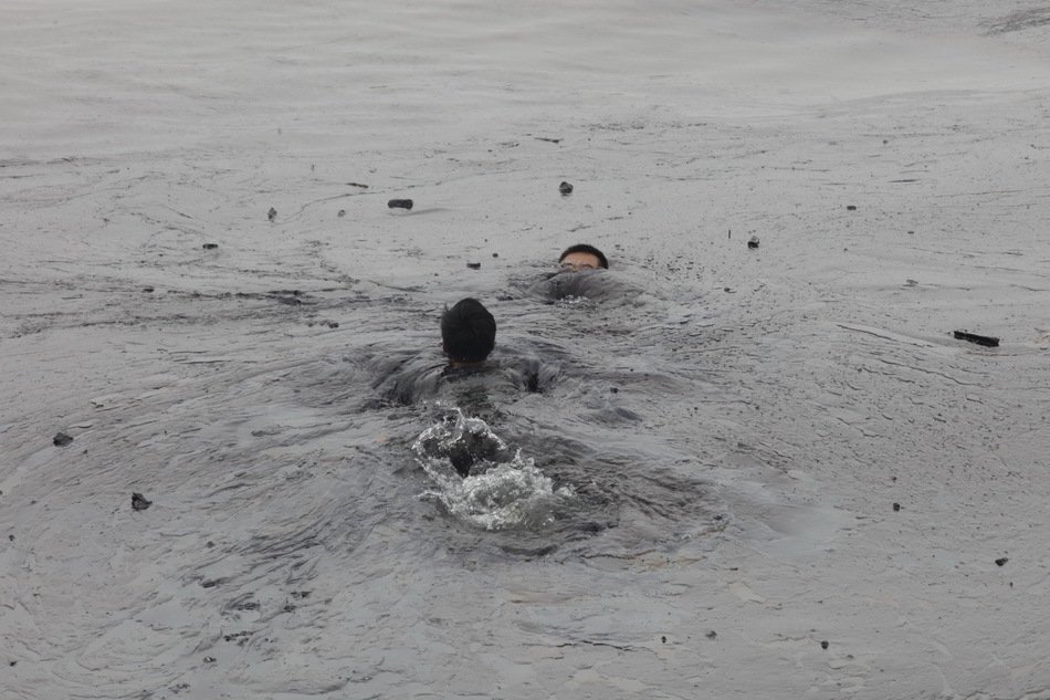 38283219.jpg